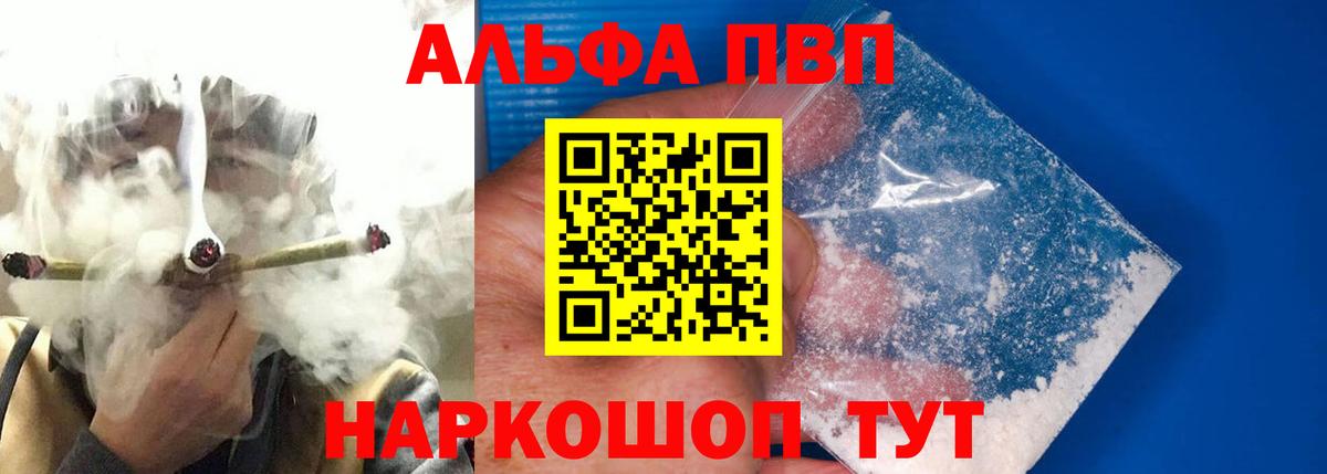 A PVP СК КРИС Светлоград