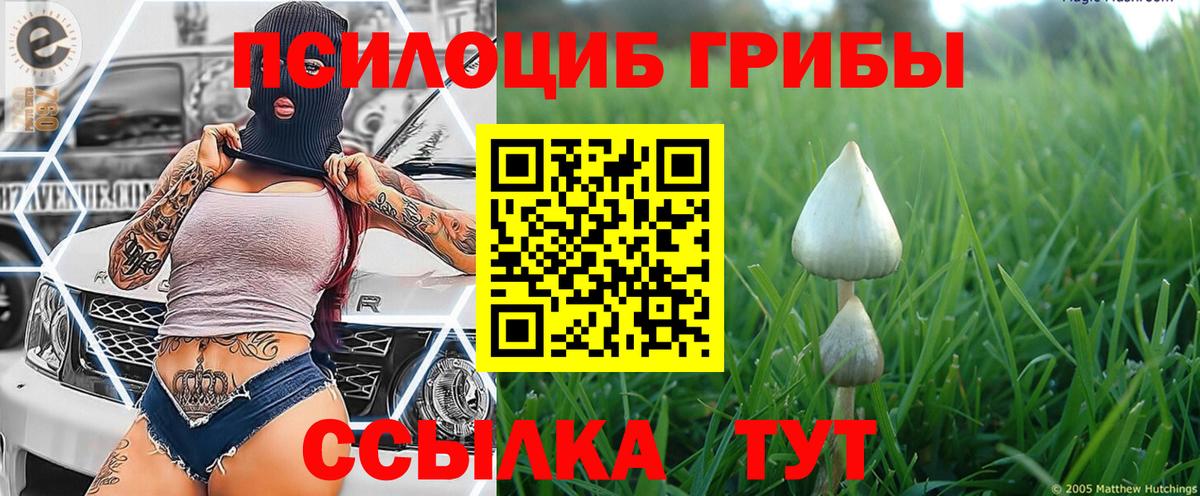 Светлоград  Галлюциногенные грибы Cubensis  Вход с VPN 